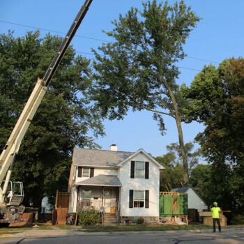 Crane holding limb over a house